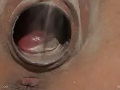 Ginger Fox được phim sex mom and son cô ấy đít kéo